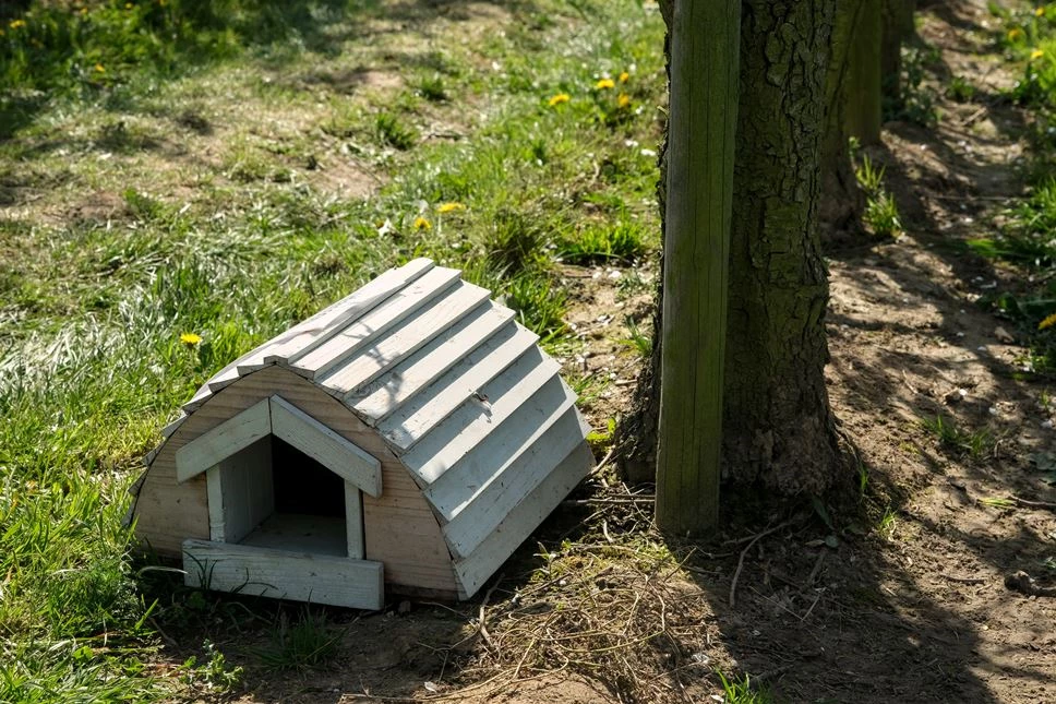 Ein selbstgebautes Igelhaus in einem Garten