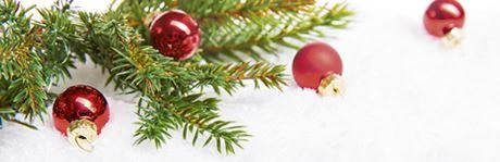 Arbres de Noël
