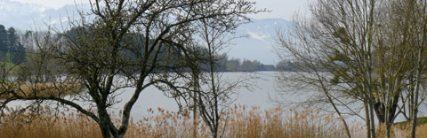 10. Au nord du lac Léman