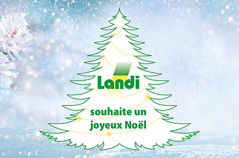 Noël
