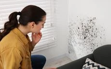 Schimmel in Wohnung