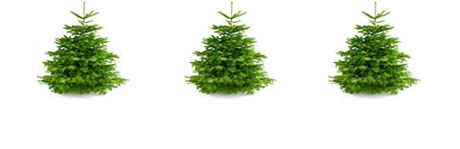 Christbäume
