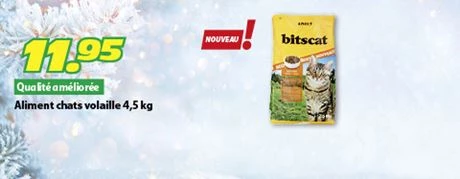 Commander maintenant