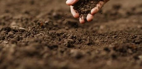 Erde für Ihren Garten