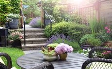 Garten allgemein