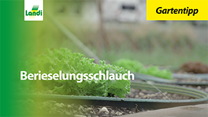 Gartentipp - Berieselungsschlauch