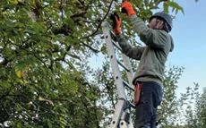 Leitern Sicherheit