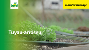 Conseil de jardinage - Tuyau-arroseur