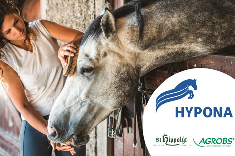 Aliments Chevaux