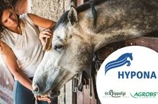 Aliments Chevaux