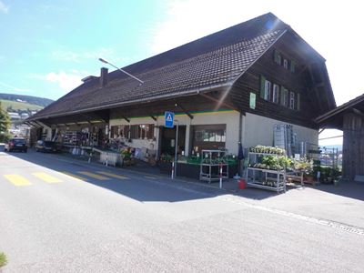 Haupt Standort
