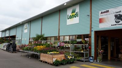 Haupt Standort